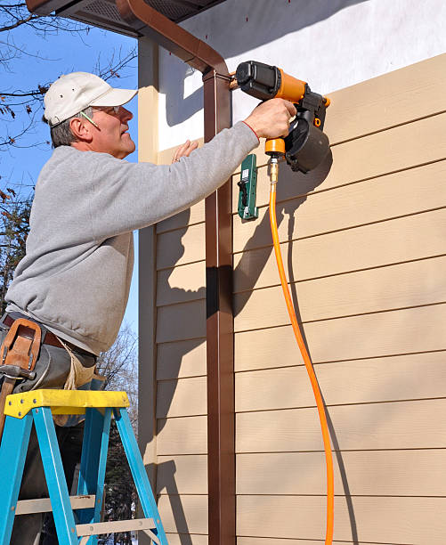 Best Vinyl Siding Installation  in Wanamingo, MN